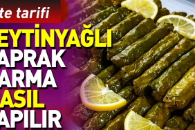 zeytinyagli-yaprak-sarma-nasil-yapilir-BTx5Ru3S.jpg