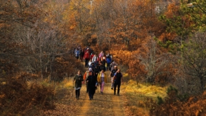 buyuksehirlerde-tabiat-yuruyuslerinin-faydalari-yesil-kacamaklar-1ssUbyDN.jpg