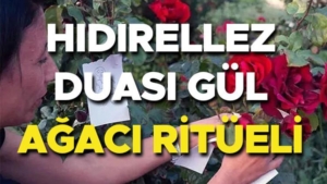 hidirellez-duasi-ve-dilekleri-2025-hidirellez-gul-agaci-ritueli-nasil-yapilir-ne-vakit-buI5mj34.jpg