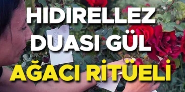 hidirellez-duasi-ve-dilekleri-2025-hidirellez-gul-agaci-ritueli-nasil-yapilir-ne-vakit-buI5mj34.jpg
