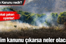 iklim-kanunu-cikarsa-neler-olacak-iklim-kanunu-nedir-3QbWQIYd.jpg