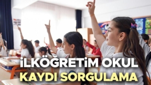 ilkogretim-okul-kaydi-sorgulama-e-devlet-ekrani-ilkokul-1-sinif-kayitlari-ne-zaman-2025-rfkRlQ4x.jpg