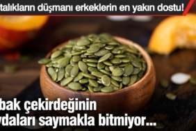 kabak-cekirdeginin-yararlari-saymakla-bitmiyor-hastaliklarin-dusmani-erkeklerin-en-yakin-dostu-GCIRz2tz.jpg