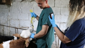 laborant-ve-veteriner-saglik-nedir-ne-is-yapar-laborant-ve-veteriner-saglik-is-imkanlari-YybcI34j.jpg