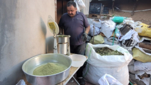 yalnizca-erzincanda-bulunan-zetrin-baharatinin-yararlari-saymakla-bitmiyor-t7R3sBZt.jpg