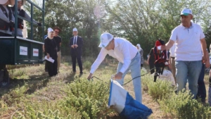 yararlari-saymakla-bitmiyor-kekik-hasadi-basladi-OWKSdFOl.jpg