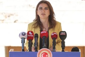 dem-parti-grup-baskanvekili-kocyigitten-surec-komisyonuna-cagri-imrali-adasina-gidilerek-ocalan-ile-gorusulmeli-CaQfh4DW.jpg
