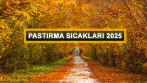 pastirma-sicaklari-tarihi-2025-pastirma-sicaklari-ne-zaman-ekimde-mi-kasimda-mi-pastirma-Ykj29zgh.jpg