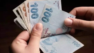 tamamlayici-emeklilik-sistemi-nedir-tes-zorunlu-mu-tes-kimleri-kapsayacak-ne-zaman-yururluge-girecek-ljVTnYXM.jpg